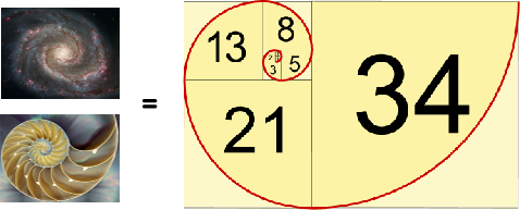 Fibonacci Spiral